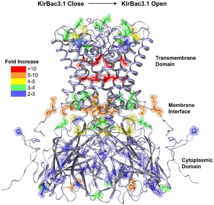 Figure 4.