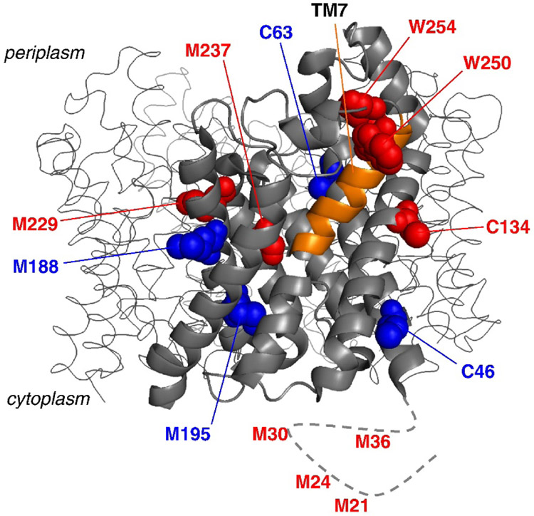 Figure 5.