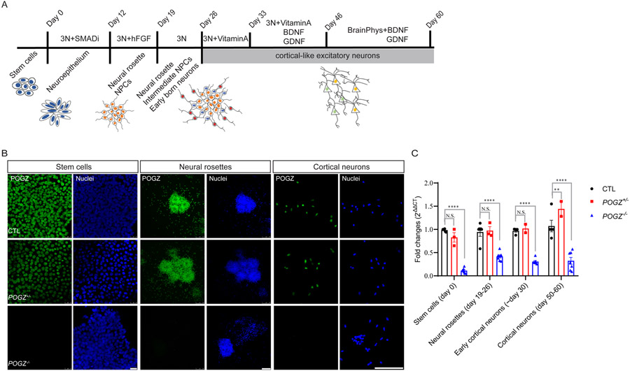 Fig. 2: