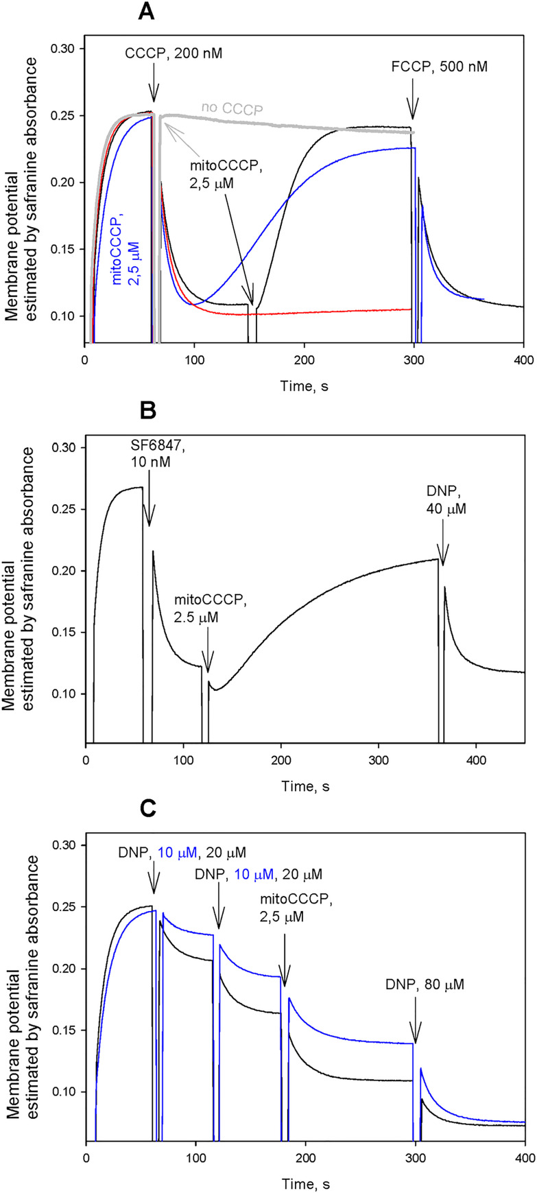 Fig 2