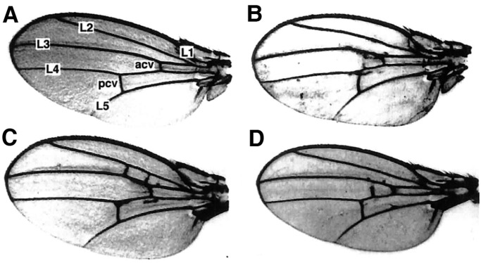 Fig. 8.