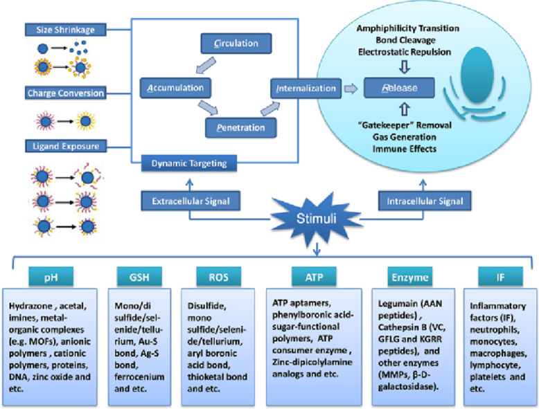 Image, graphical abstract