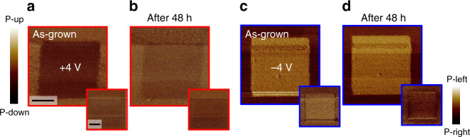 Fig. 4