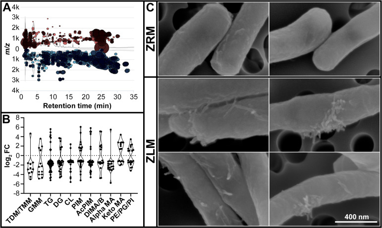 Fig 4