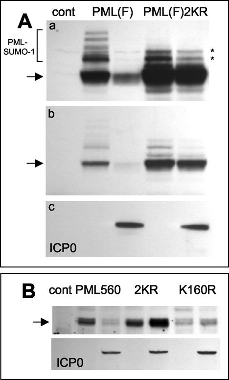 FIG. 8.