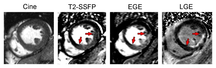 Figure 3: