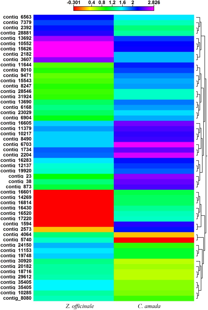 Figure 7