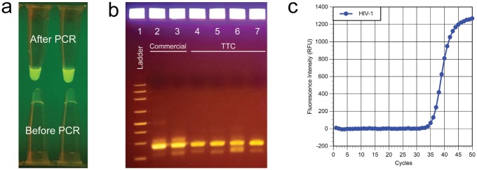 Fig 6