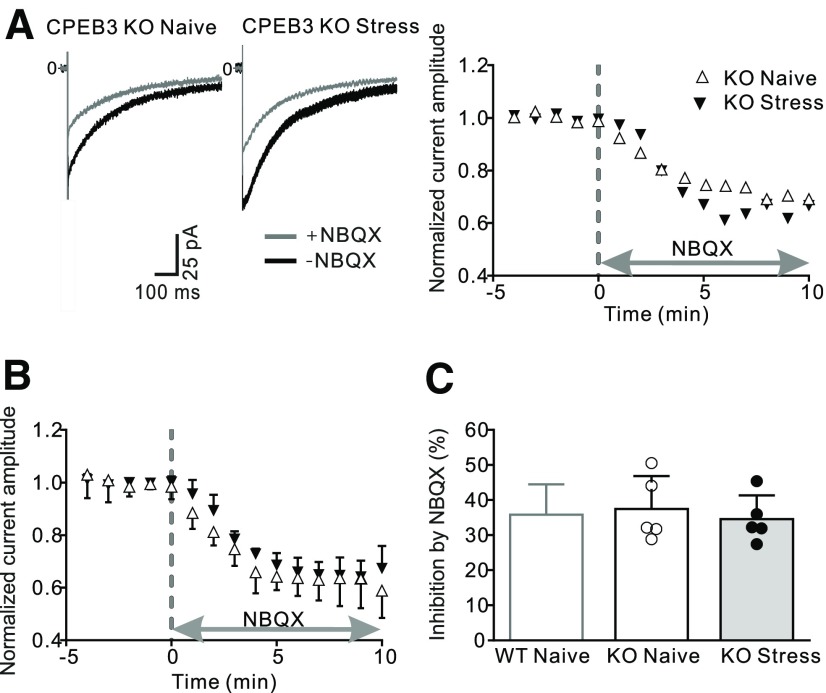 Figure 6.