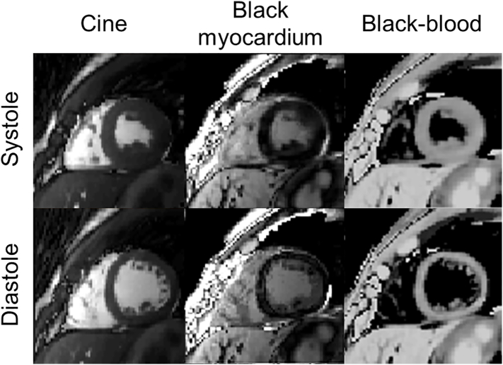 Fig. 8