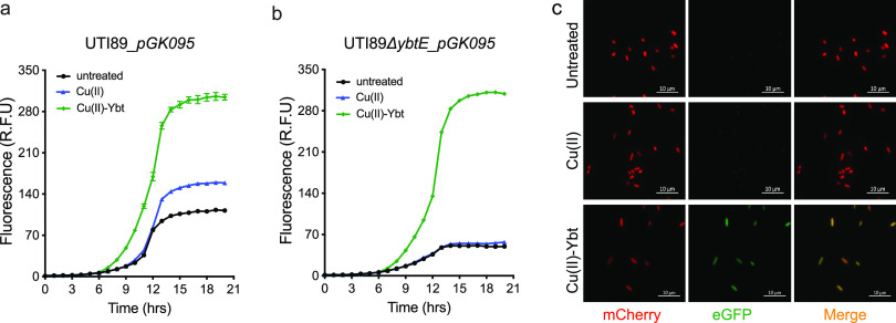 FIG 4