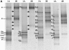 FIG.2.