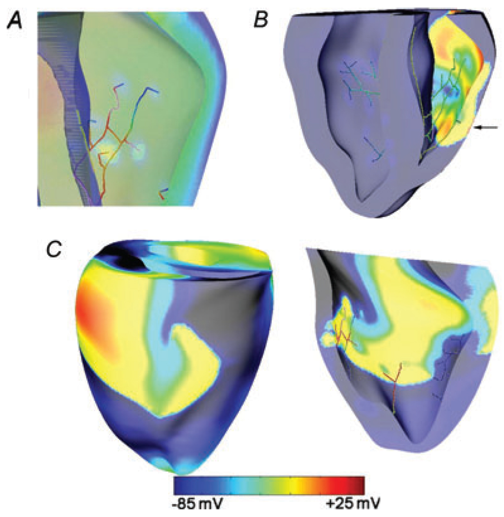 Figure 7