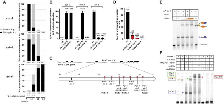 Figure 5