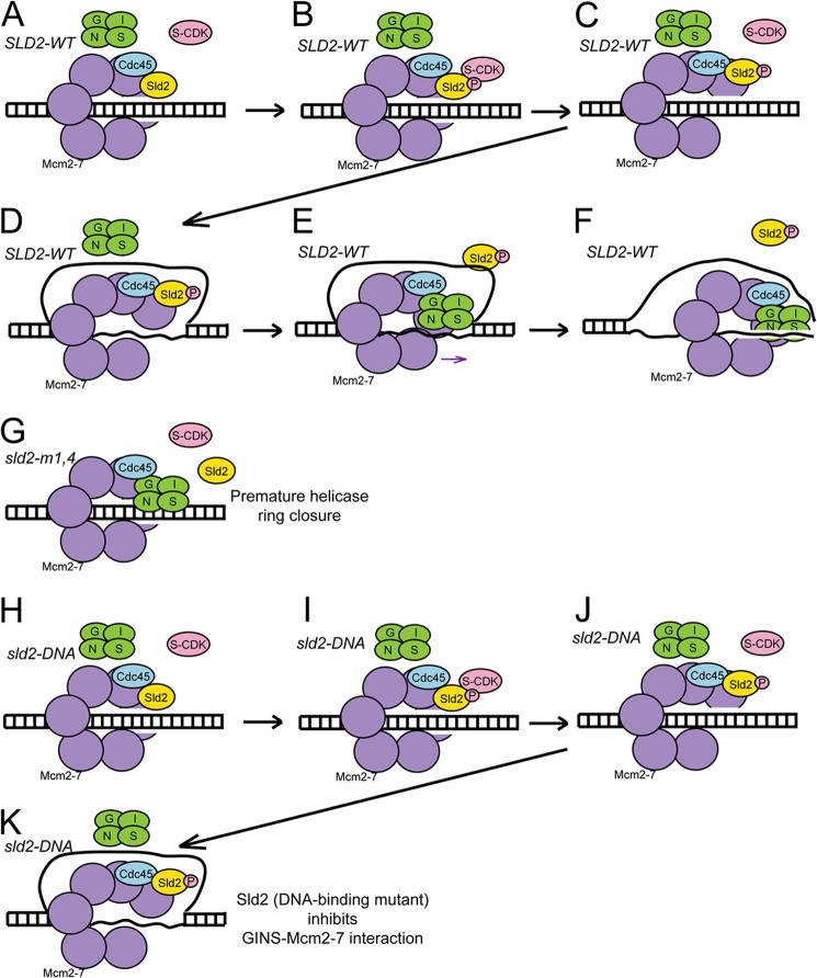 FIGURE 7.