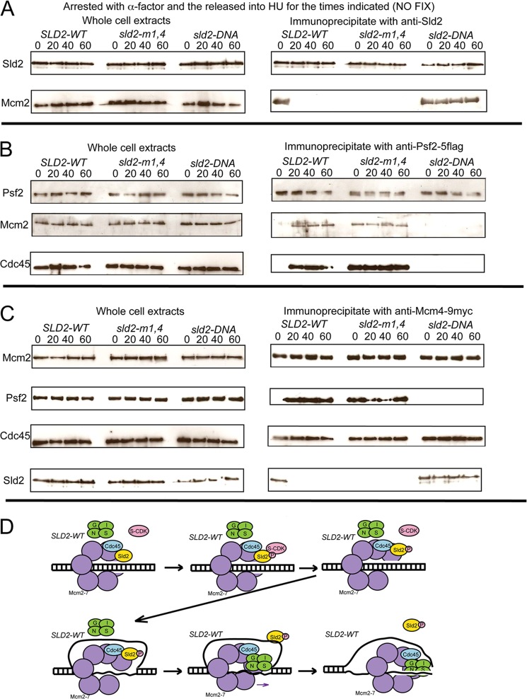 FIGURE 5.