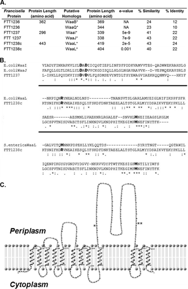 FIG 1