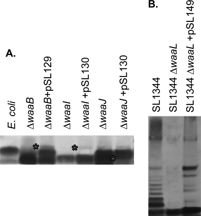 FIG 2