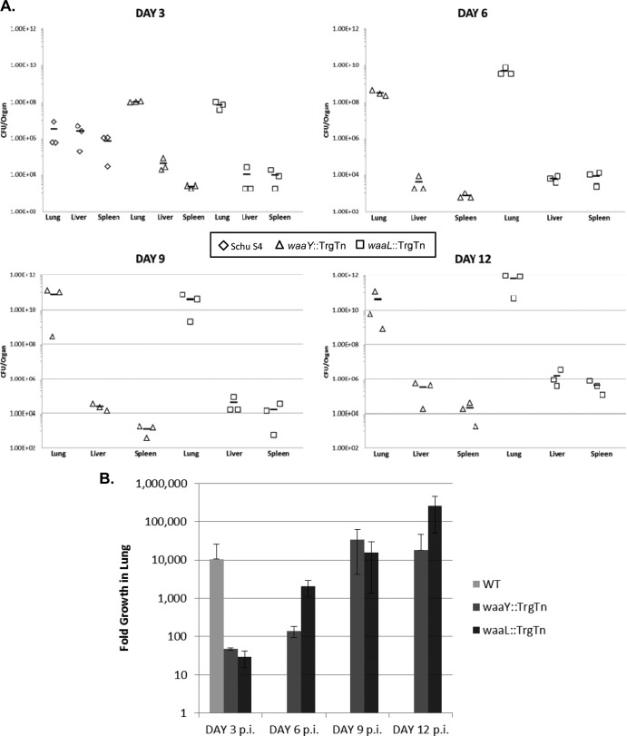 FIG 4