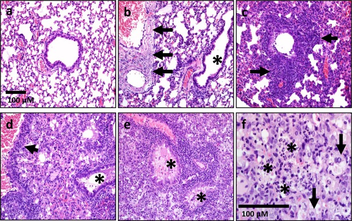 FIG 6