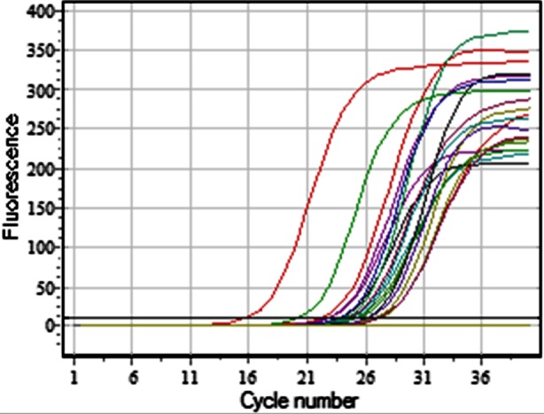 Fig.1