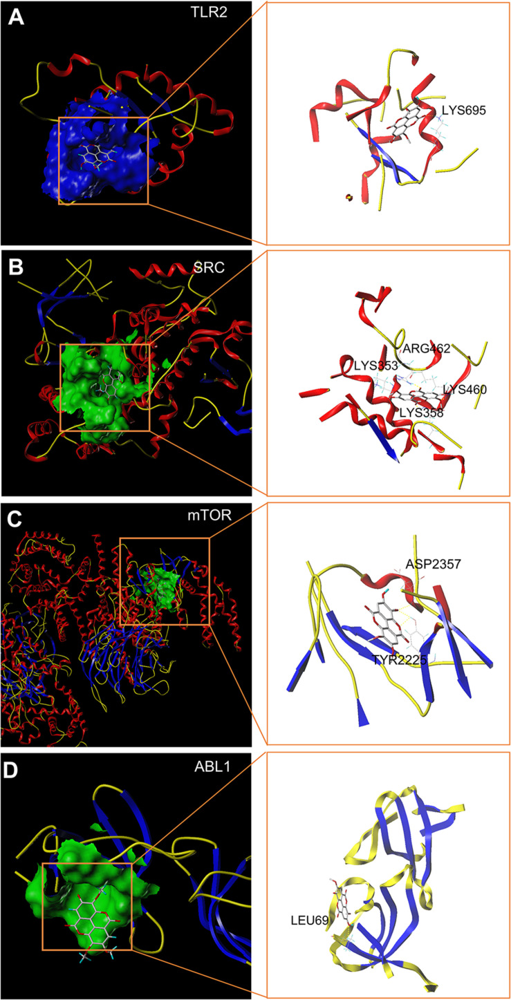 FIGURE 3