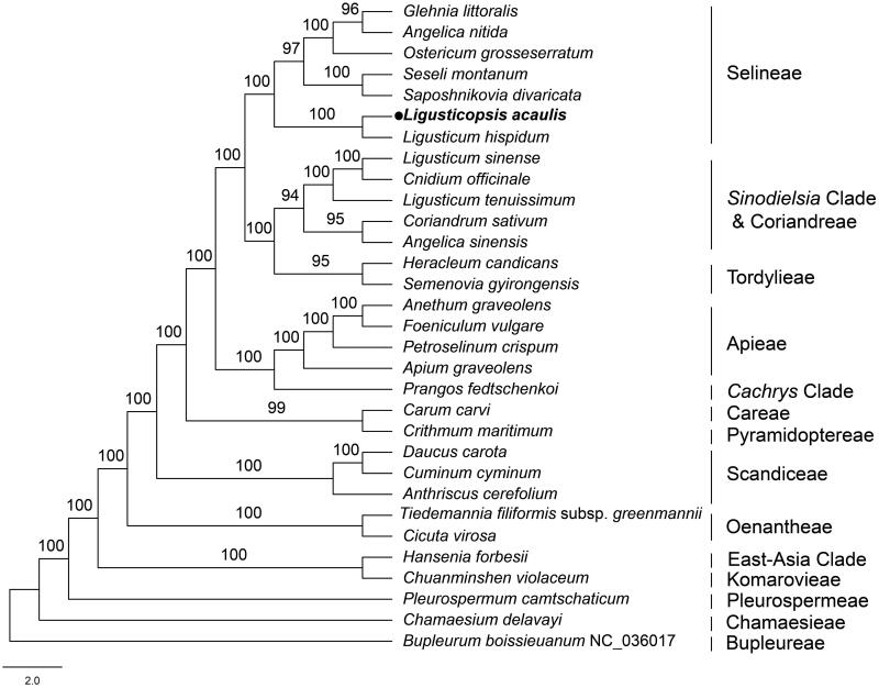 Figure 3.