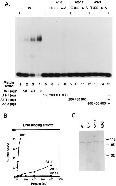 FIG. 7