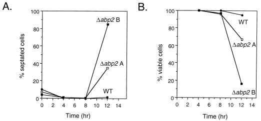 FIG. 11