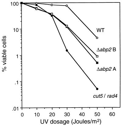 FIG. 13