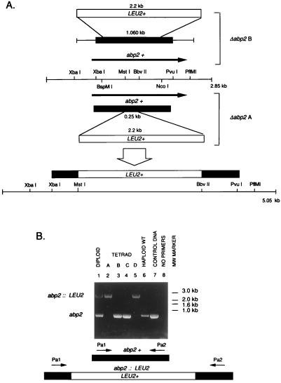 FIG. 8