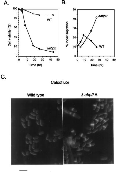 FIG. 9