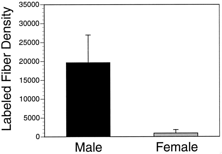 Fig. 9.