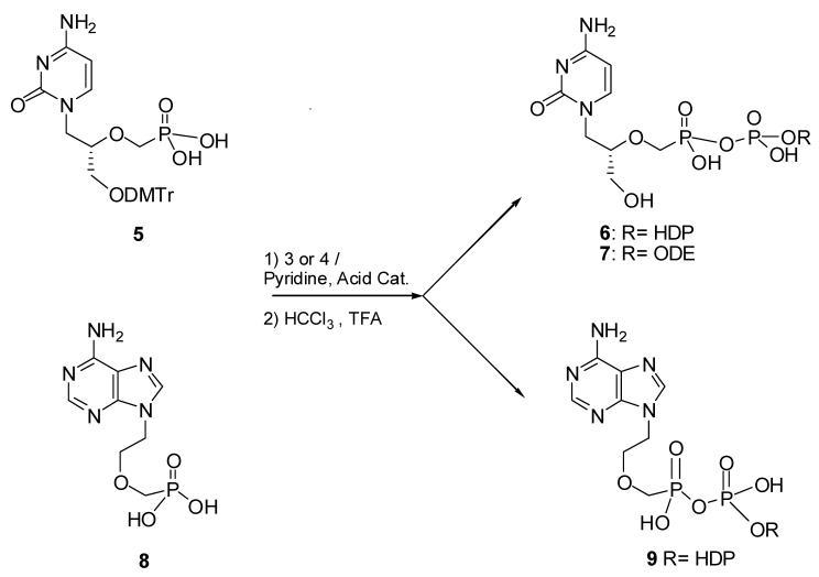 Scheme 2