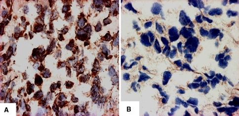 Fig. 1A–B