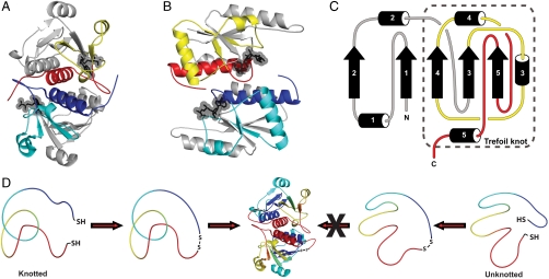 Fig. 1.