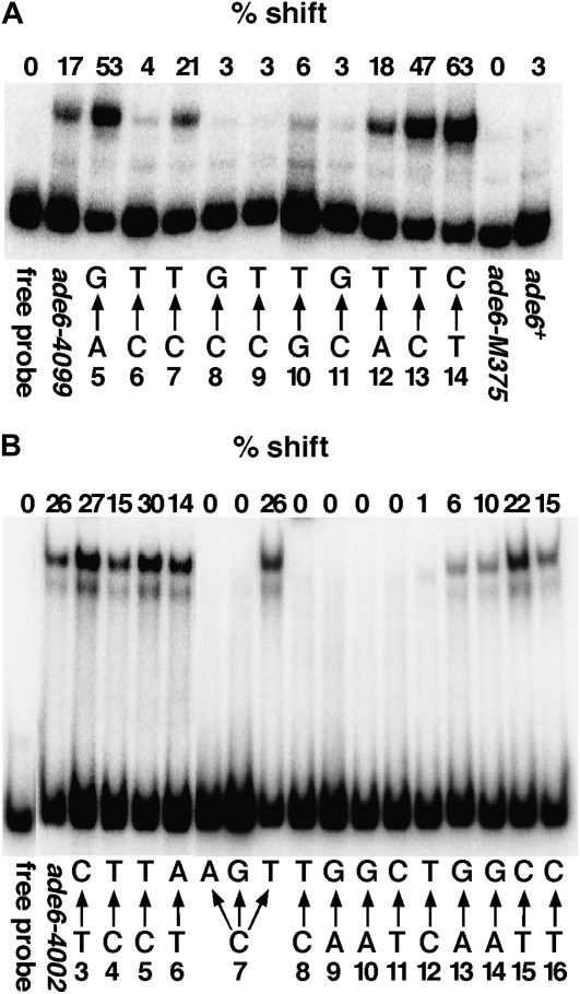 Figure 3.—