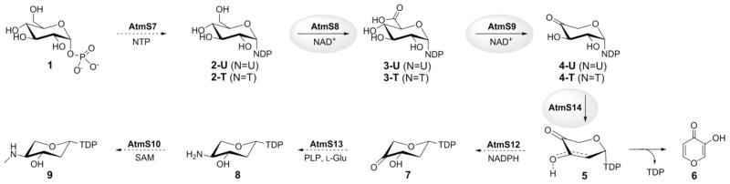 Scheme 2