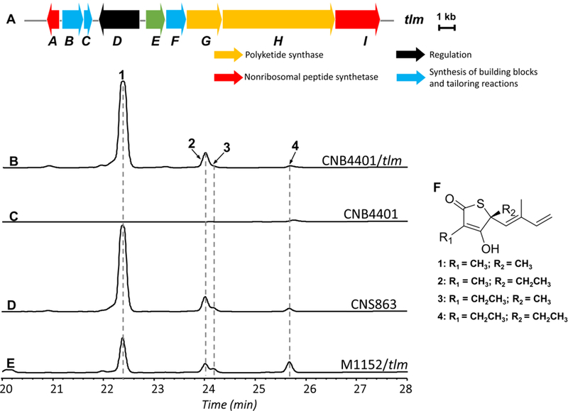 Figure 3.