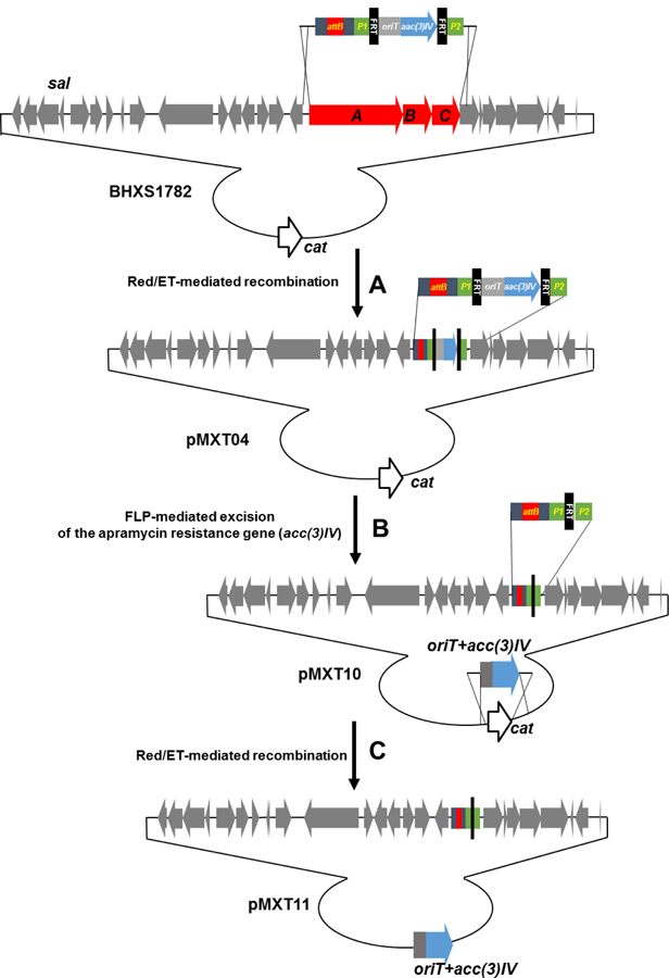 Figure 1.