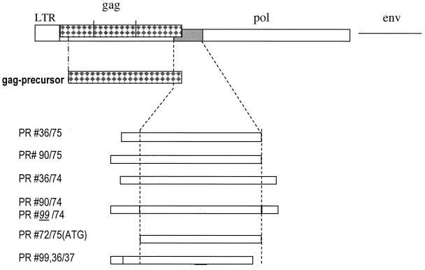 FIG. 2.