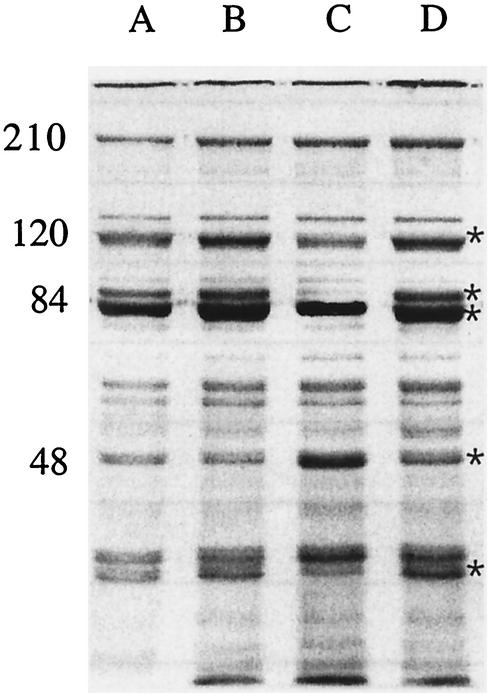 FIG. 5.