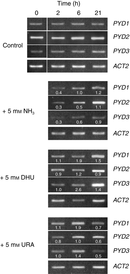 Fig. 4