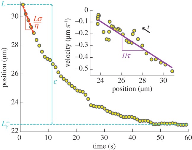 Figure 2.