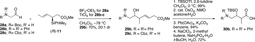 Scheme 8