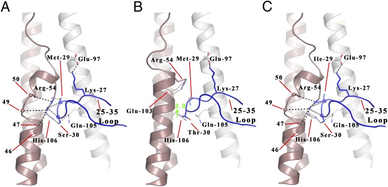 Fig. 5.