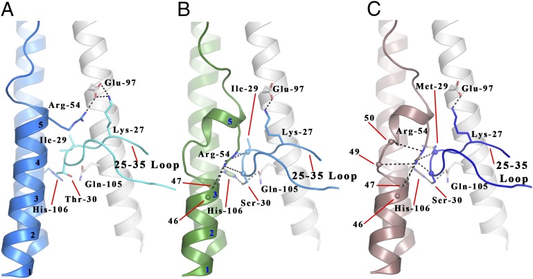 Fig. 4.