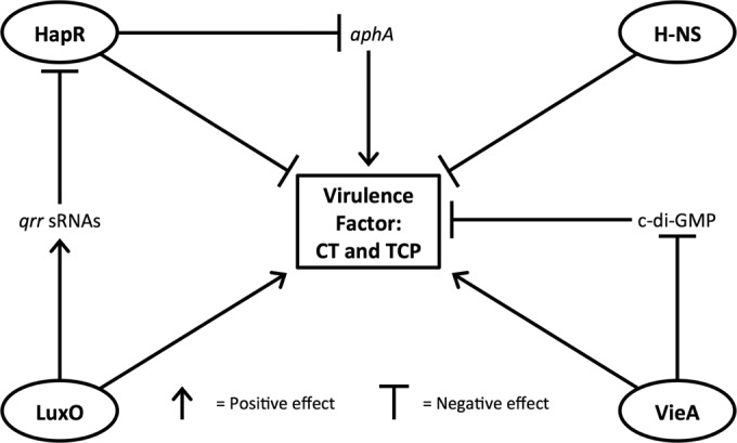 FIG 4 