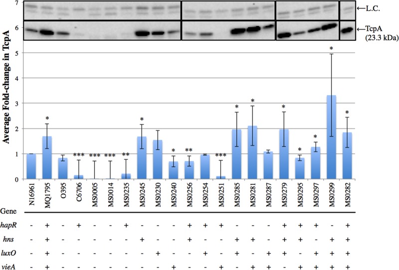 FIG 2 