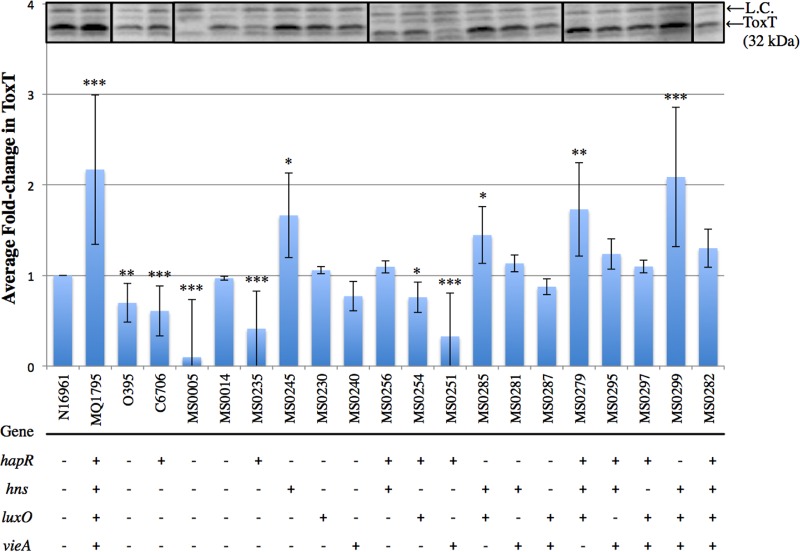 FIG 3 